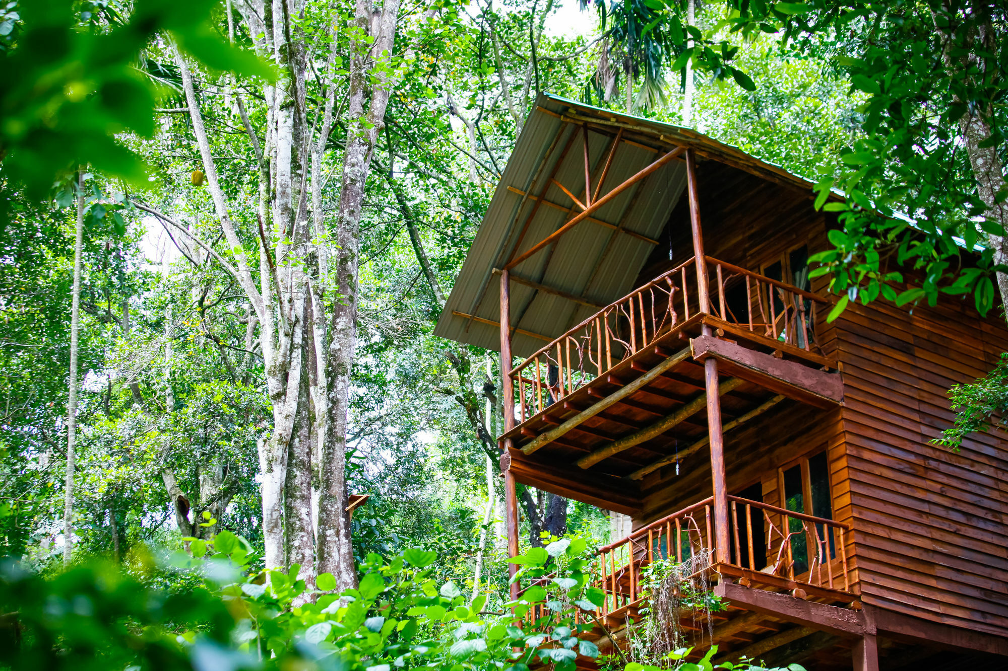 Ella Ecolodge Exterior photo