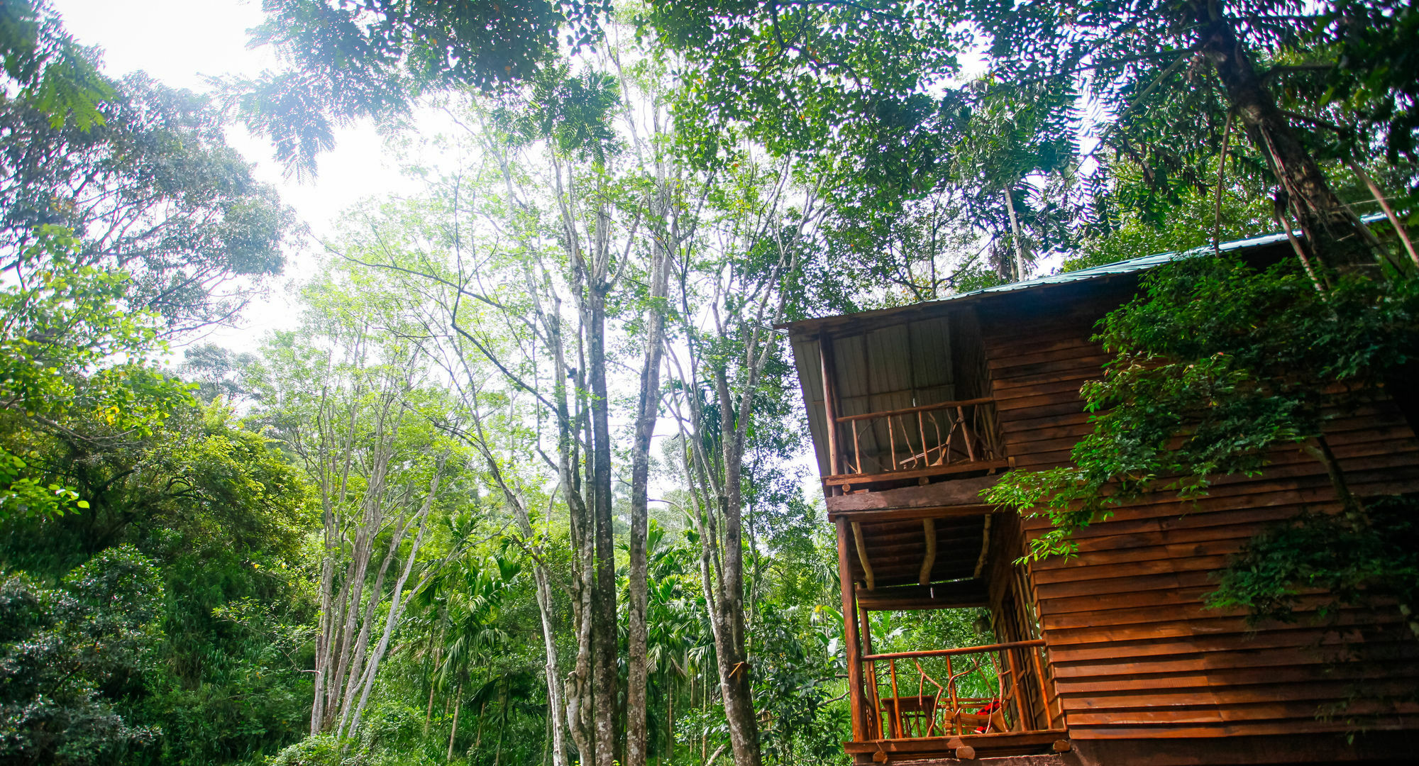 Ella Ecolodge Exterior photo