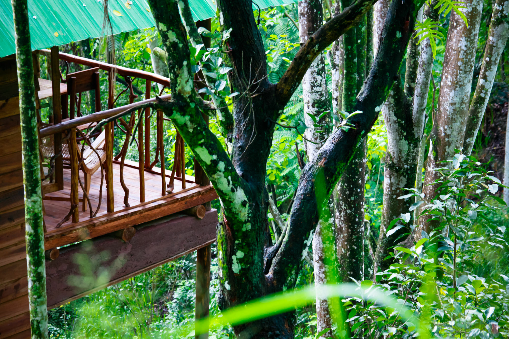 Ella Ecolodge Exterior photo