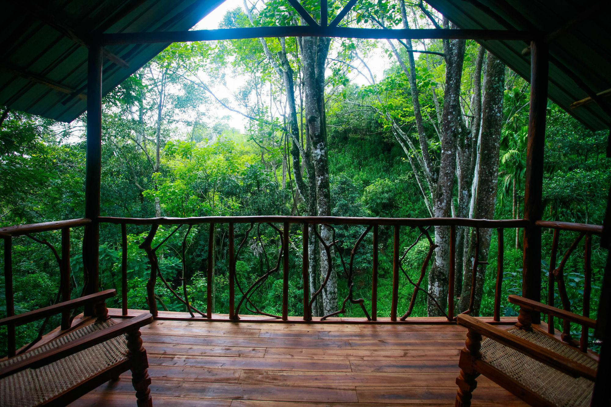 Ella Ecolodge Exterior photo